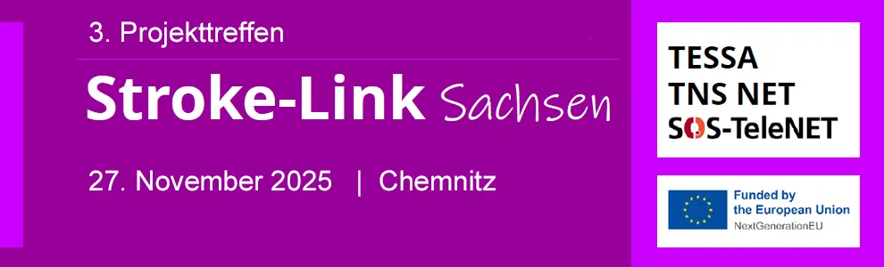 2025-stroke-link