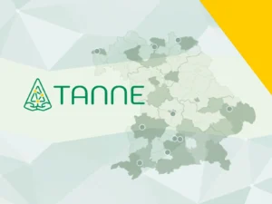 projekt-tanne